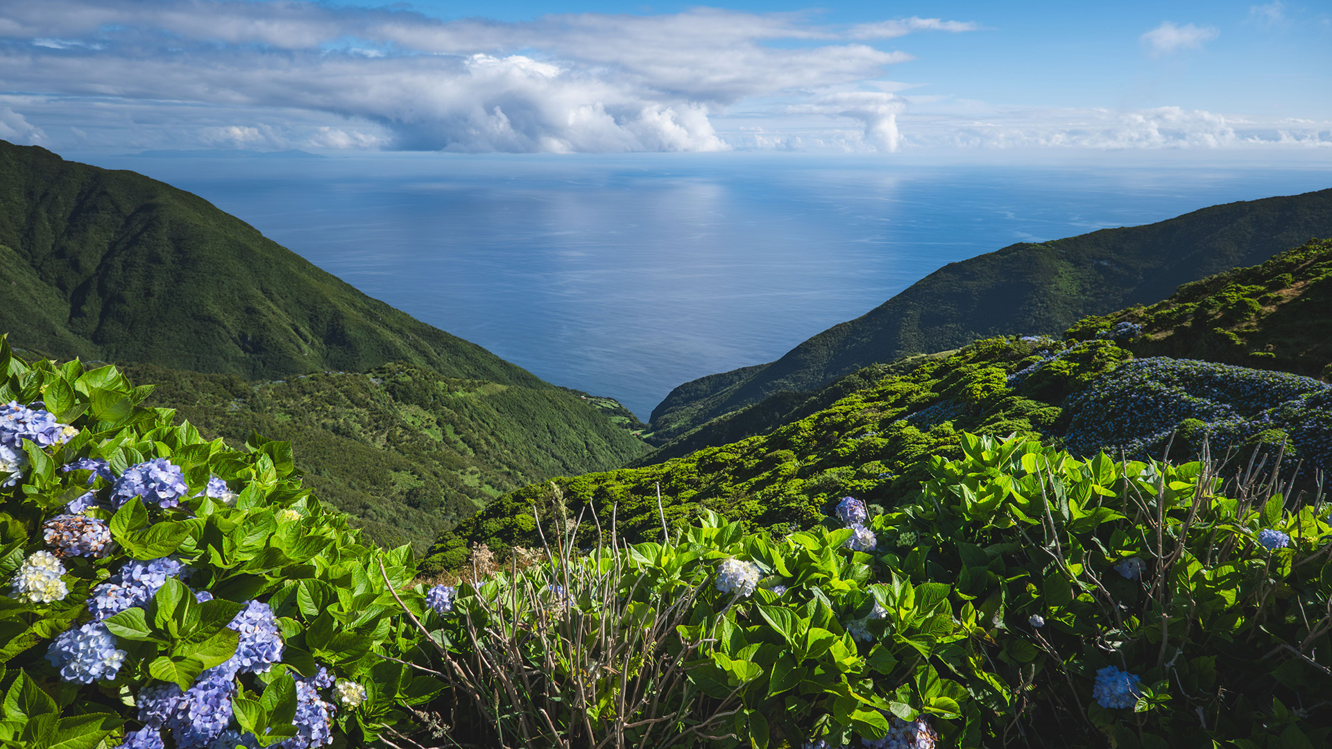 Madeira